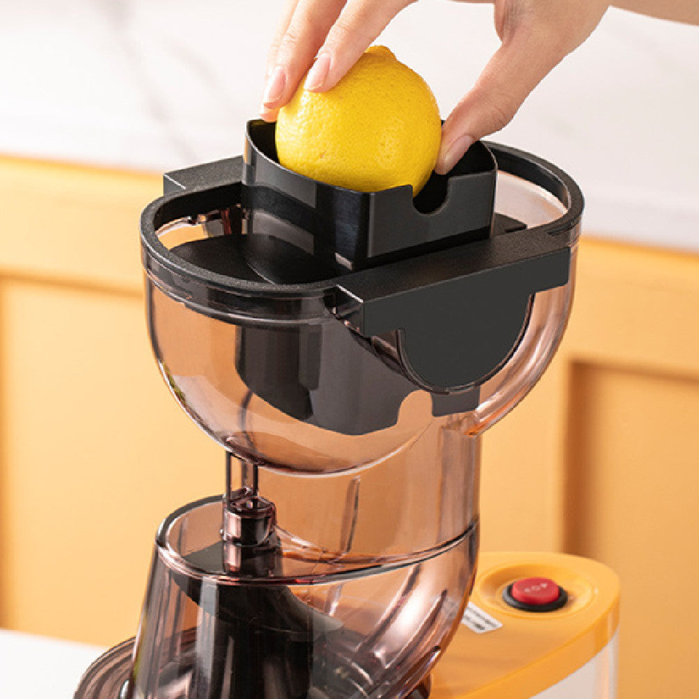 The Monda Slow Juicer