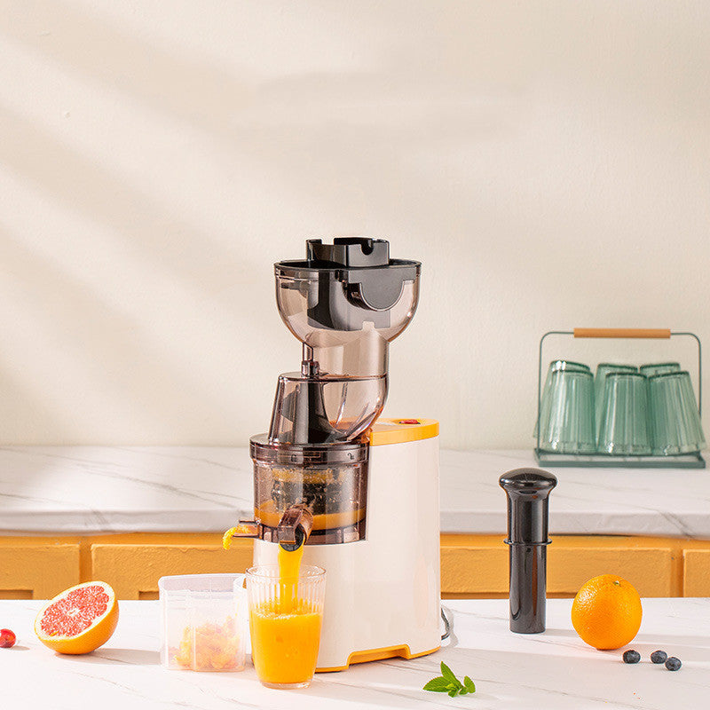 The Monda Slow Juicer