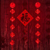 Traditional Red Lantern USB LED String Light Spring Festival Battery Operated Party Supplies Chinese New Year Decoration