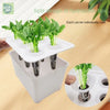 DIY Balcony Hydroponic Plants Pot Vegetable Bucket Flowerpot Cucumber Plant Growth Office Bonsai Decor