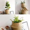 Wicker Storage Baskets Straw Wicker Rattan Hanging Flowerpot Seagrass Folding Laundry Basket Plant Basket Seaweed Home Decor