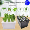 DIY Balcony Hydroponic Plants Pot Vegetable Bucket Flowerpot Cucumber Plant Growth Office Bonsai Decor