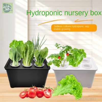 DIY Balcony Hydroponic Plants Pot Vegetable Bucket Flowerpot Cucumber Plant Growth Office Bonsai Decor