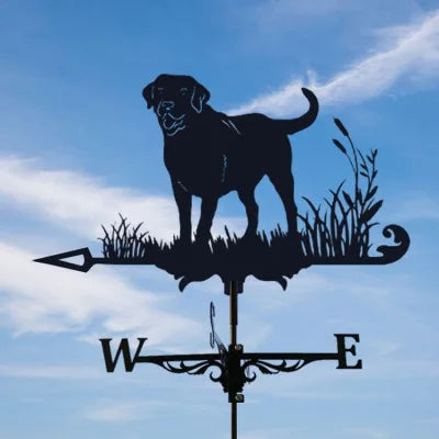 Stainless Steel Rooster Weathervane Weather Vane Yard Garden Barn Ornament Collies Shed Kit Weather Vanes Roofs Dropshipping