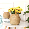 Wicker Storage Baskets Straw Wicker Rattan Hanging Flowerpot Seagrass Folding Laundry Basket Plant Basket Seaweed Home Decor