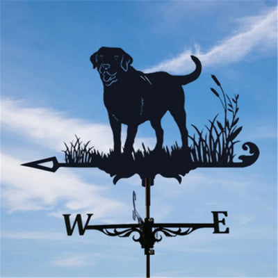 Stainless Steel Rooster Weathervane Weather Vane Yard Garden Barn Ornament Collies Shed Kit Weather Vanes Roofs Dropshipping