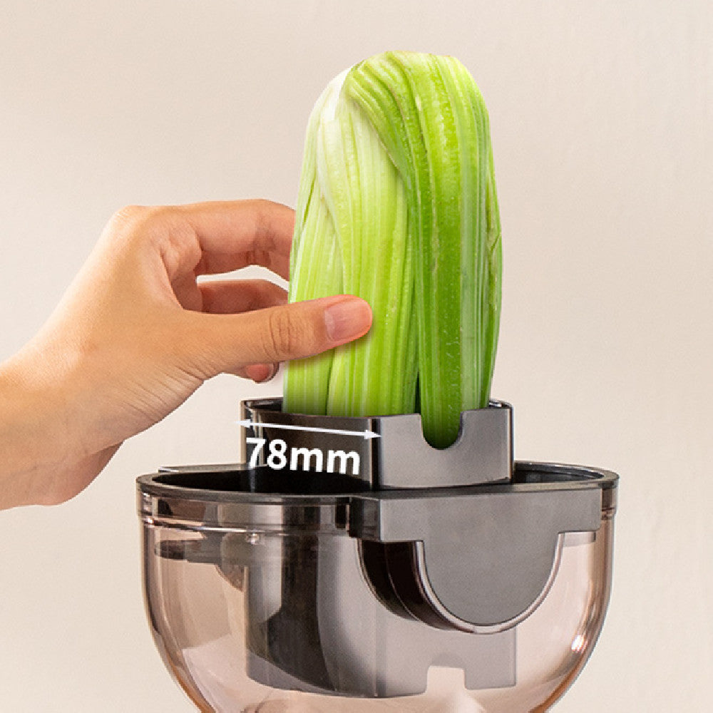 The Monda Slow Juicer